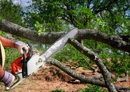 Best Grass Overseeding  in Bolindale, OH